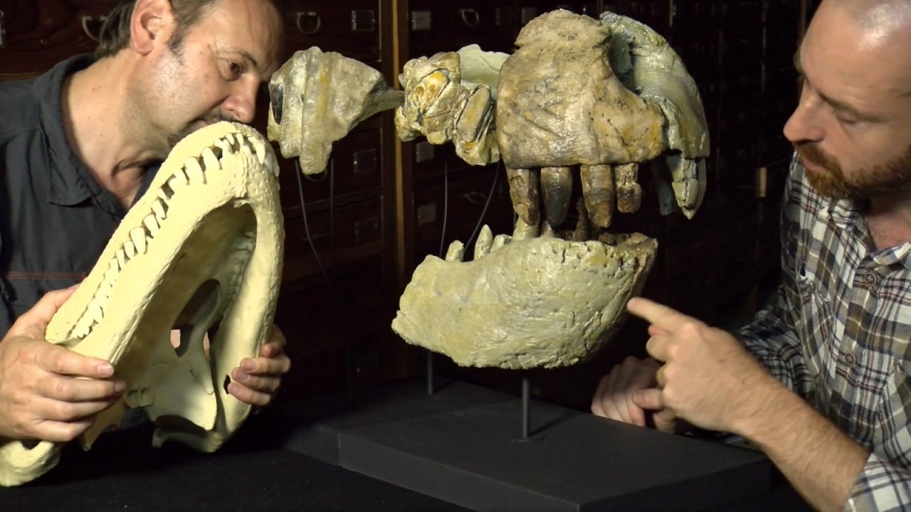 Ancient giant 'Ghost Lizard' crocodile with T-Rex teeth discovered in Madagascar