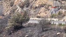 Izmir Menderes'te Orman Yangını, Endişeli Bekleyiş Sürüyor