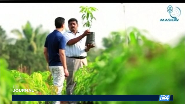 Diplomatie: quel est le positionnement de l'Inde sur le conflit israélo-palestinien ?