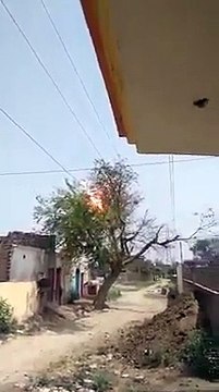 Un arbre s'électrocute sur des câbles électriques