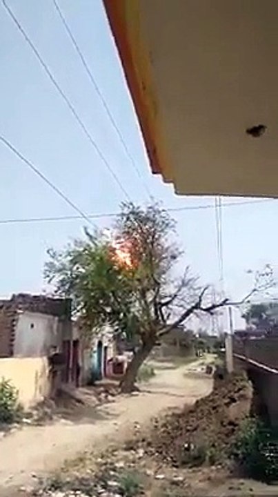 Un arbre s'électrocute sur des câbles électriques