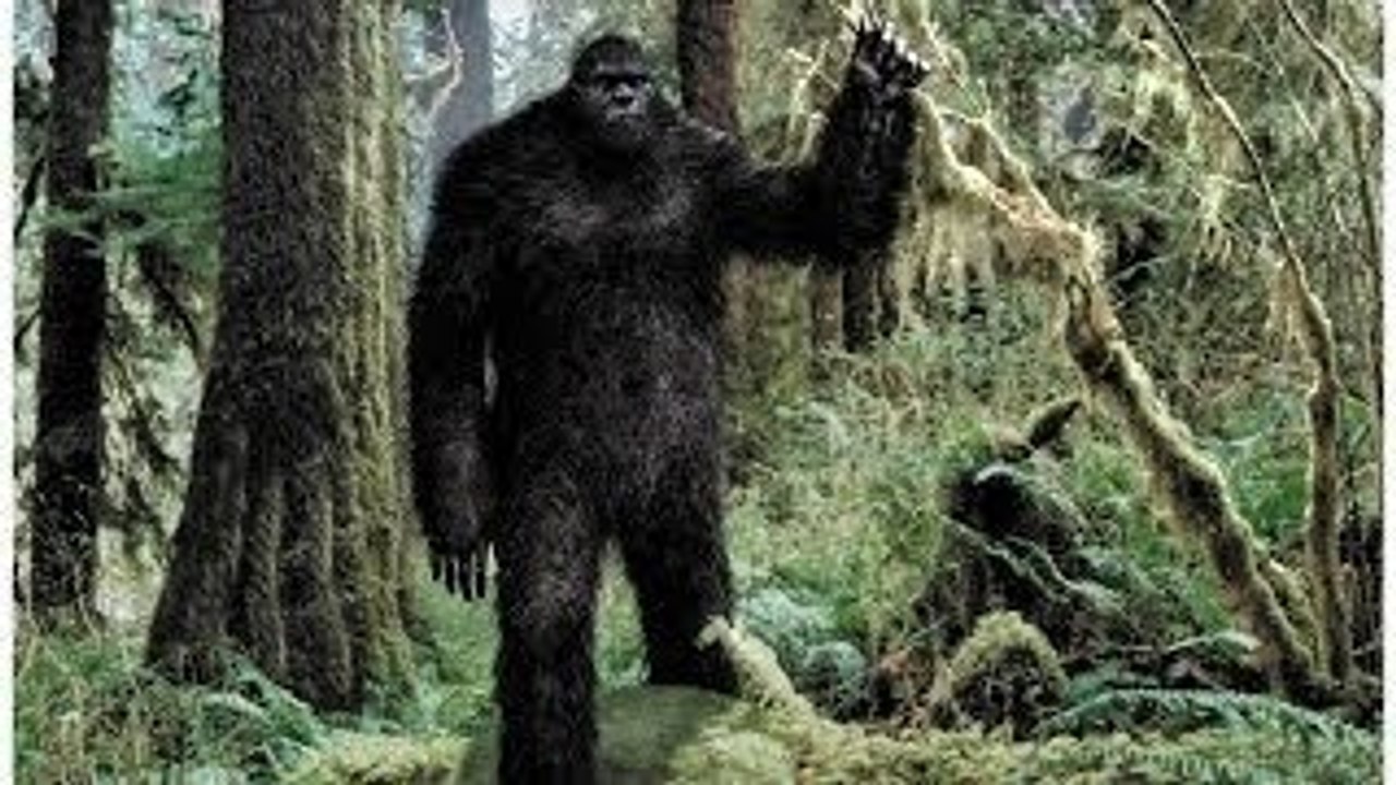 l'Abominable Homme des Bois - HD ST (2009)