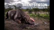 Brent Stirton, le photojournaliste en guerre contre l'extinction des animaux d'Afrique