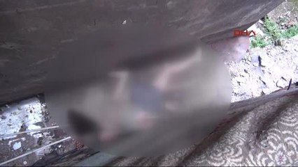 Cihangir'de Fransızca Öğretmeni Kadın Ölü Bulundu