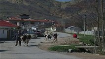 Mbjelljet e pranverës; Melçan, banorët në vështirësi - Top Channel Albania - News - Lajme