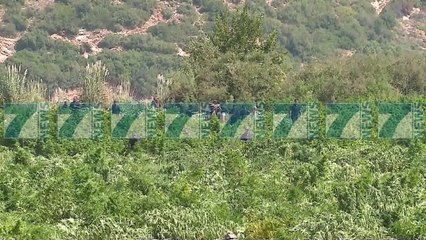 SAIMIR TAHIRI I KUNDERPERGJIGJET ASHPER LSI-SE - News, Lajme - Kanali 11