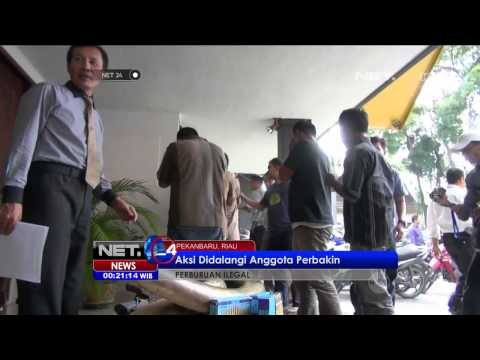 Polisi Tangkap 8 Pemburu Gading Gajah di Riau - NET24