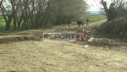 Report TV - Ishte nisur për Greqi, grabitet e më pas vritet pogradecari