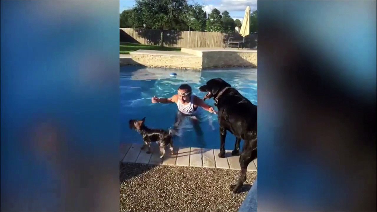 Ce petit chien va utiliser le gros chien comme un bateau... Hop sur le dos
