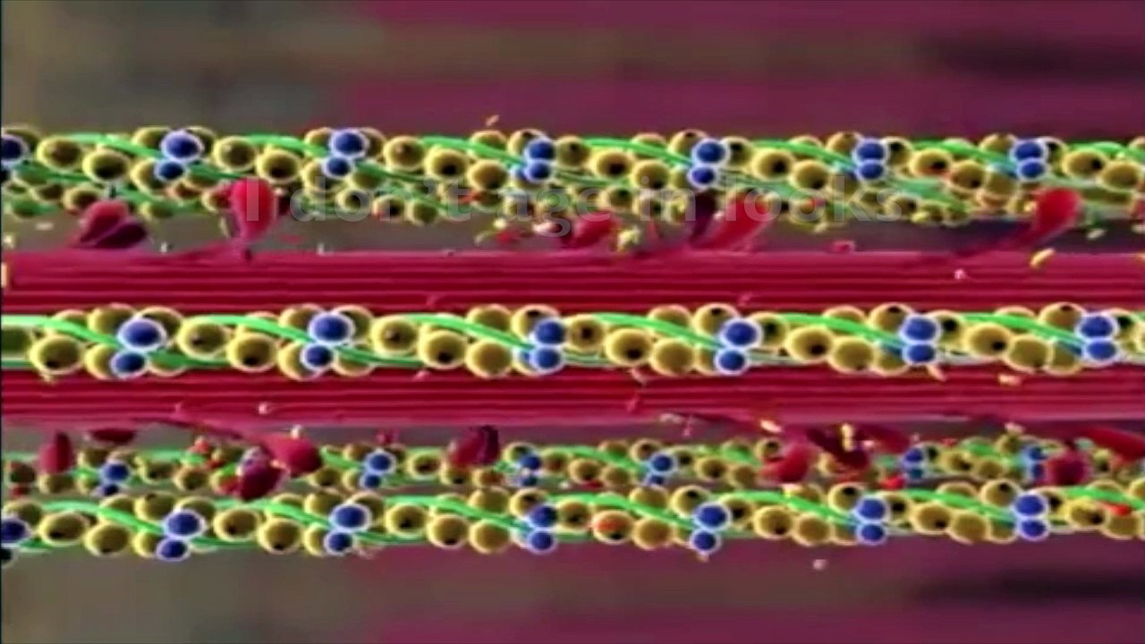 DNA MUTATION SUBLIMINAL!