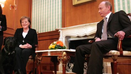 Putin Used a Dog to Scare Angela Merkel, What About Trump Ahead of G-20 Summit?
