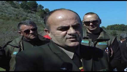 Ora News – Shkodër, zëvendësohen pishat e prera ndër vite