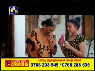 Hara Kotiya 130  -  2017 07 04