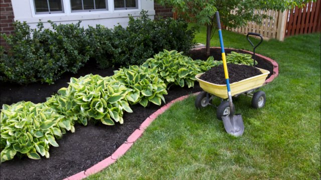Green Leaf Landscaping - (323) 641-2319