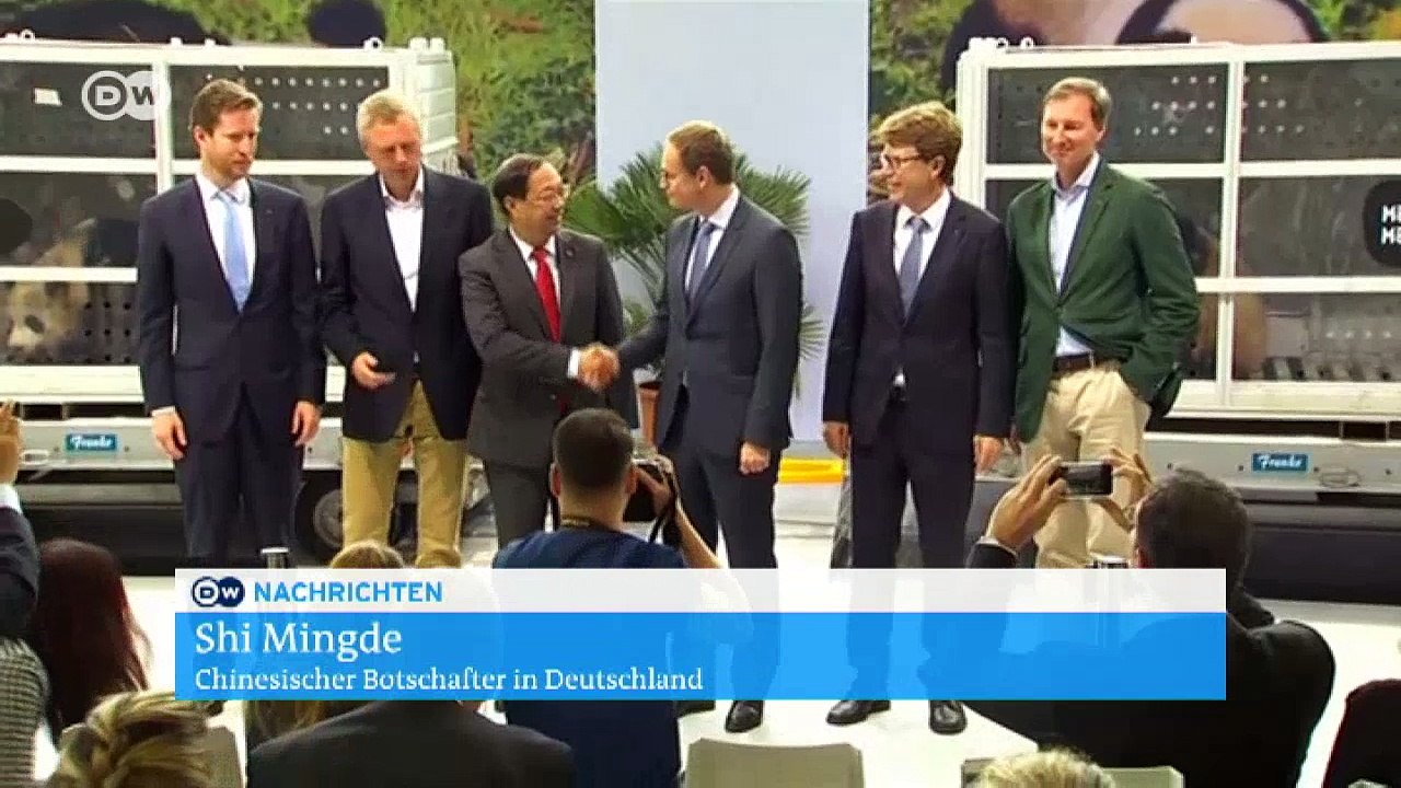 China: Kuscheldiplomatie mit Pandas | DW Deutsch