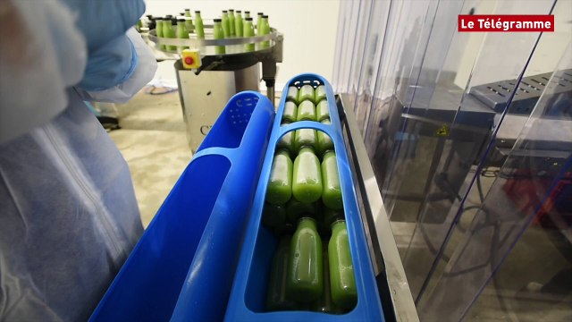 Innovation. Green4You : la Sica lance sa gamme de jus de légumes