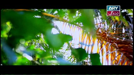 Mere Baba ki Ounchi Haveli Ep 170 - 4th July 2017