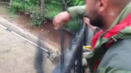 Demir Kapıya Sıkışan Köpeği Itfaiye Kurtardı