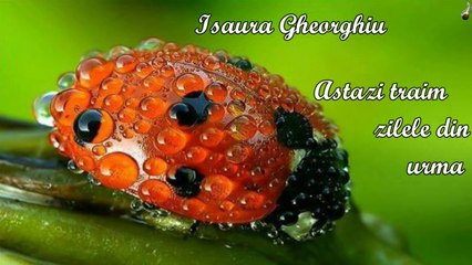 Isaura Gheorghiu - Astazi traim zilele din urma