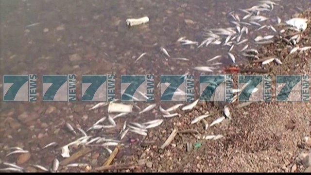 DETAJE PER PESHKUN E NGORDHUR NE LIQENIN E FIERZES NE KUKES - News, Lajme - Kanali 8