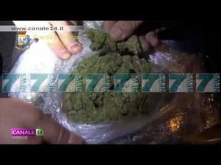 SI KALOI 8 TON DROGE NE DY DOGANA - News, Lajme - Kanali 8