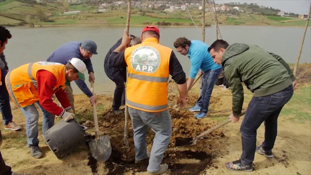 Report TV - Mbillen 500 pemë në Kashar, Veliaj: Ejani nesër të pastrojmë Tiranën
