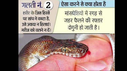 साप काटले तोह भूल कर भी न करे ये 5  गलतिया  ,जा सकती है जान