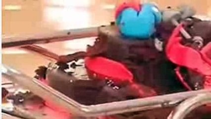 ISHQBAAZ   Shivaay   Anika's Cake Wali Holi   Romance   Rudra's Birthday    Full Episode