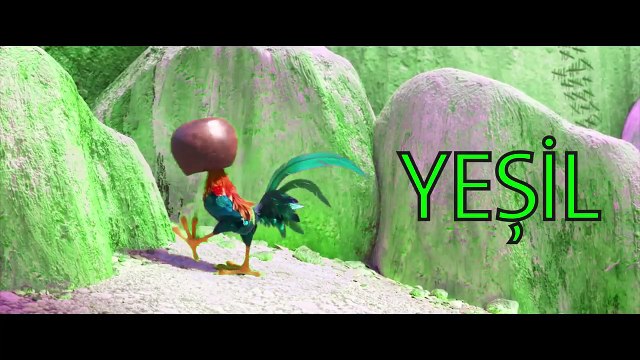 Moana ve garip tavuğu ile renkleri öğreniyoruz , Çizgi film izle 2017