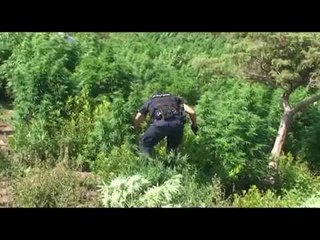 Скачать видео: Qëlloi policinë, nis gjyqi ndaj 22-vjeçarit - Top Channel Albania - News - Lajme