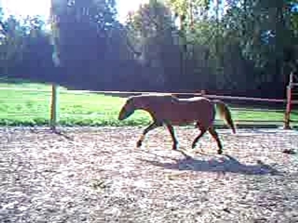 saut en liberté QUOUALA