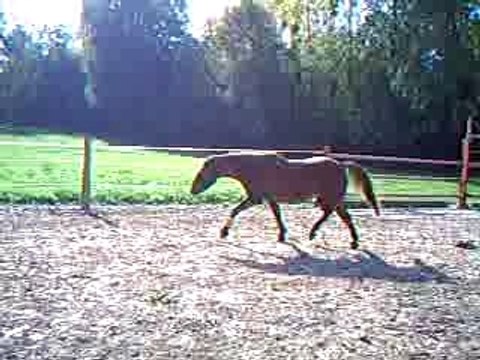 saut en liberté QUOUALA