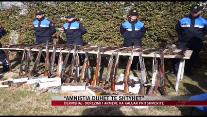 Amnistia duhet te shtyhet - News, Lajme - Vizion Plus