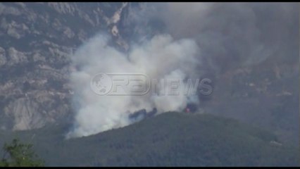 Ora News – Pamjet e zjarrit që dogjën dje kodrat me ullishte në Krujë