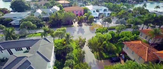 Olamide - Summer Boy