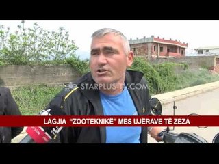 LAGJIA “ZOOTEKNIKË” MES UJËRAVE TË ZEZA