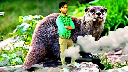 Awesome Mobile Created Videos (By Sanjeev)