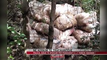 Asnjë të dyshuar për poseduesit e 1.7 tonëve hashash në Karaburun - News, Lajme - Vizion Plus