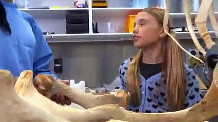 Animals are stupid #17