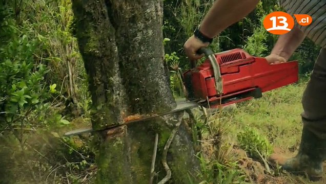 Lugares que Hablan 2017 - Los encantos de Fresia -pt4