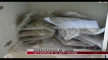 Tonelata drogë në Itali, 267 të arrestuar mes tyre shqiptarë - News, Lajme - Vizion Plus