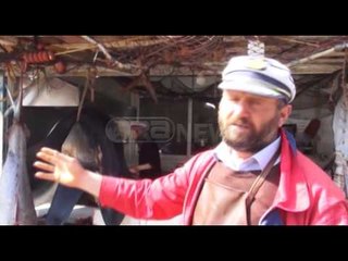 Ora News – Kapet në Vlorë peshkaqeni i rrezikshëm