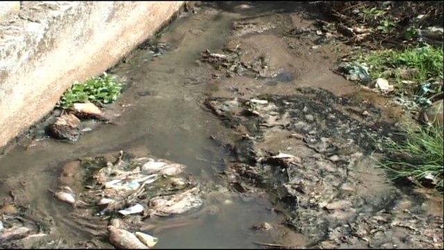 Report TV - Burrel, ujërat e zeza të burgut në rrugët e qytetit, bashkia s'ka fonde