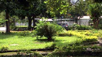 Jefe de las FARC sale del hospital y viaja a Cuba