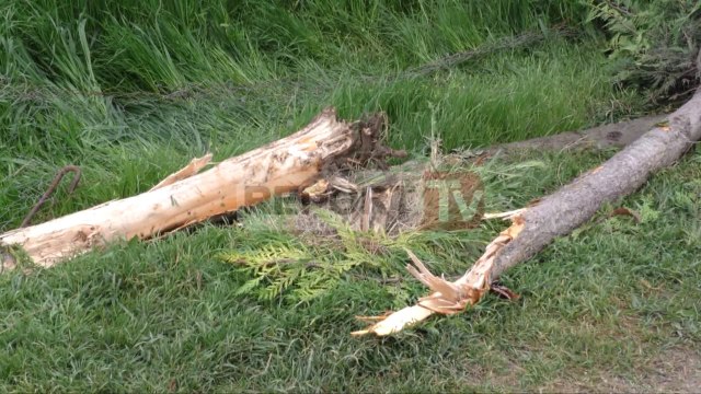 Report TV - Fier, makina përplaset me murin, humb jetën 27- vjeçari