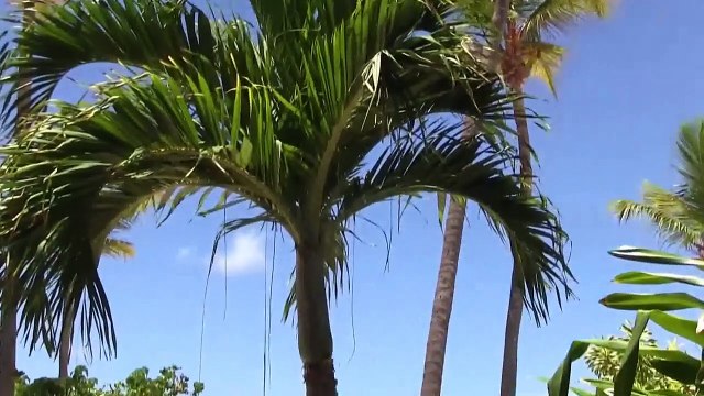Secret Harbor beach - St. Thomas, U.S. Virgin Islands