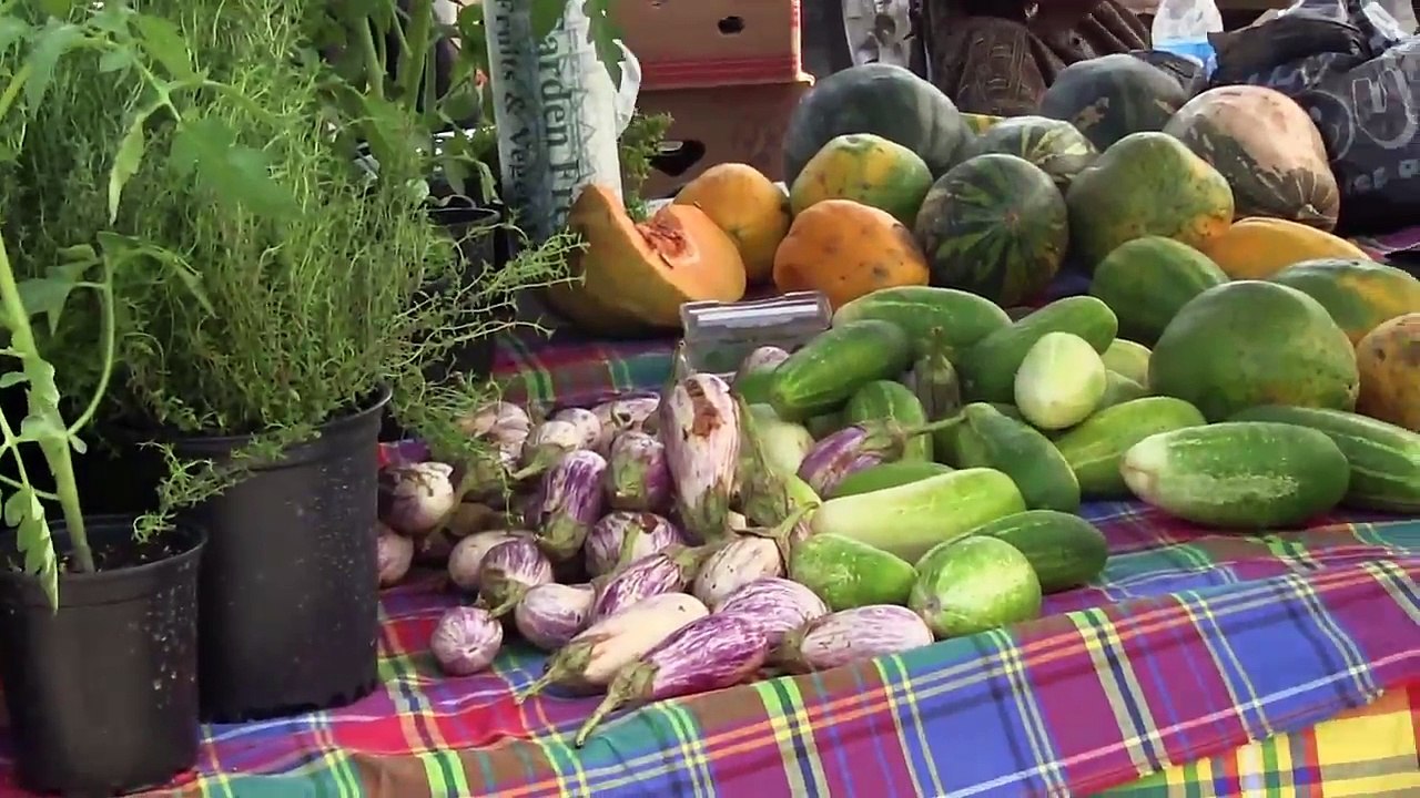 St Thomas, U.S. Virgin Islands - Carnival 2015 Highlight Reel, Virgin Islands This Week