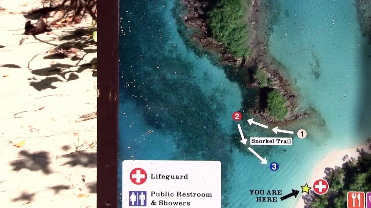 Trunk Bay beach - St. John, U.S. Virgin Islands - Virgin Islands This Week