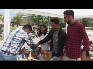 Dita ndërkombëtare e romëve - Lajme