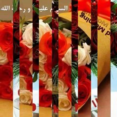 GREAT SALAM TO GREAT MUHAMMAD (SAW)